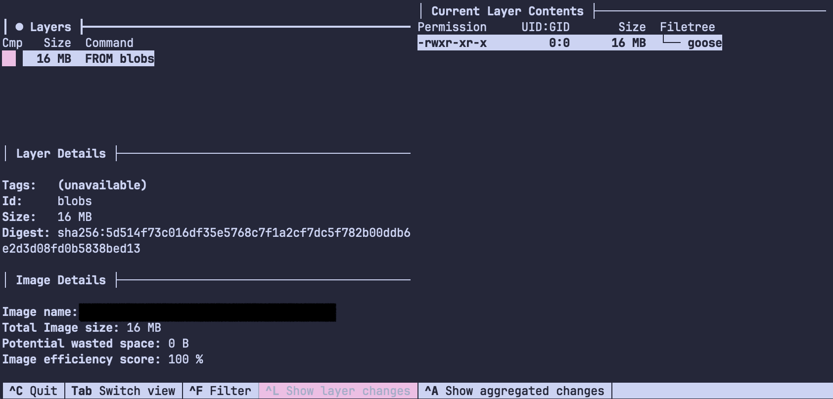 Screenshot of dive showing the resulting image